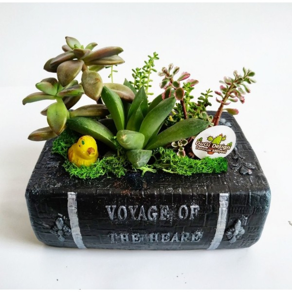 Antik Voyage Kitap Tasarım Dekoratif Beton Saksı Büyük Boy 14 x 10 Saksı ve Aksesuarları Fiyatı