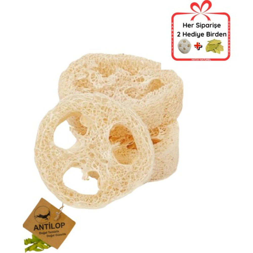 Antilop Doğal Kabak Lifi Oval (2 adet) Ikili Paket (Bulaşık, Lavabo, Temizlik) Vücut Bakım Setleri Fiyatı