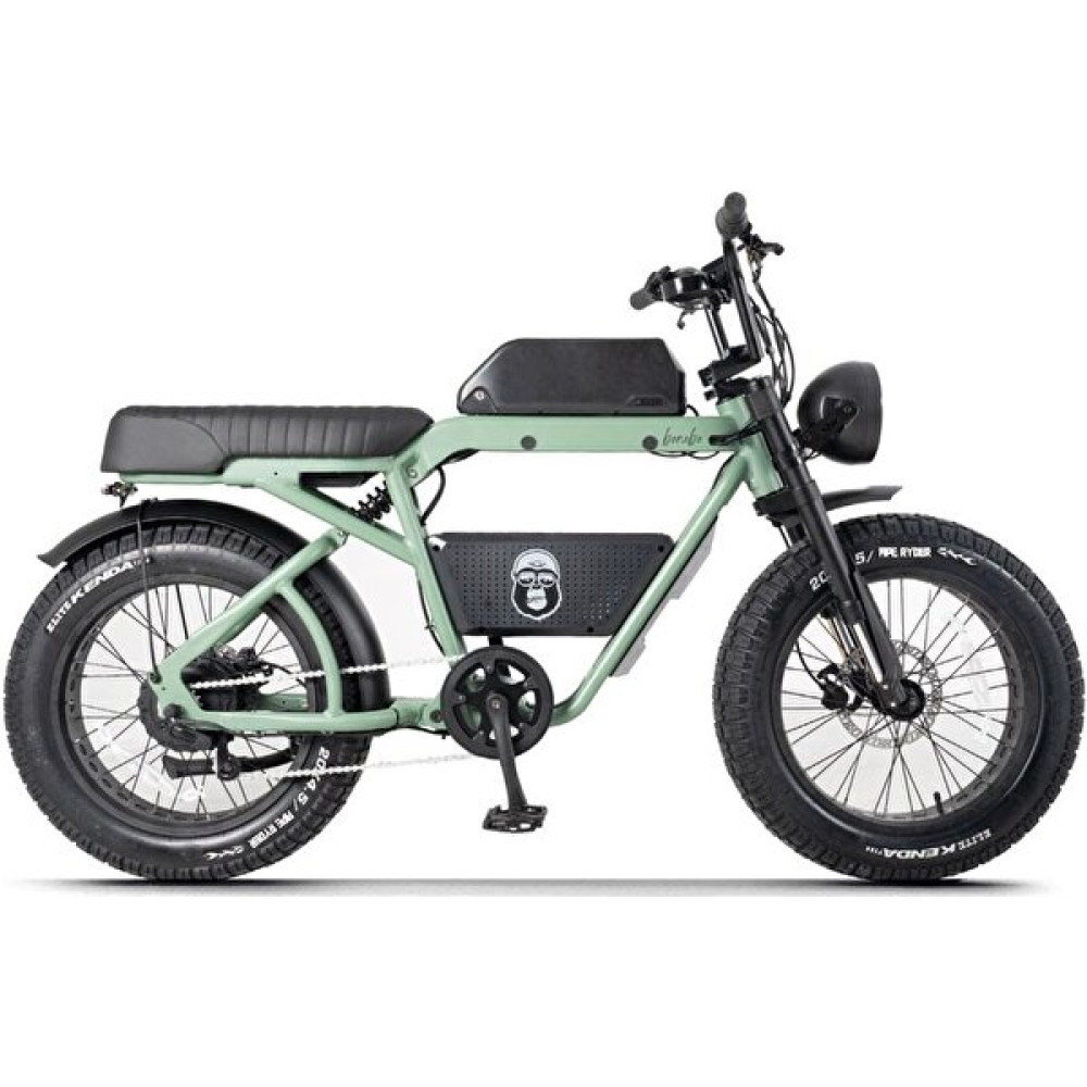 Ape Ryder Bonobo Premium - Yeşil Elektrikli Bisikletler Fiyatı