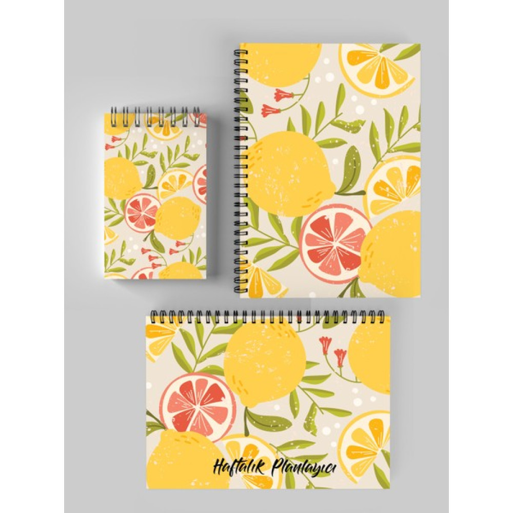 Apeirona Planlama Seti 3 Ayrı Özel Ürün Günlük Planlayıcı + Haftalık Planlayıcı + To-Do List - Limon Oto Boyaları Fiyatı
