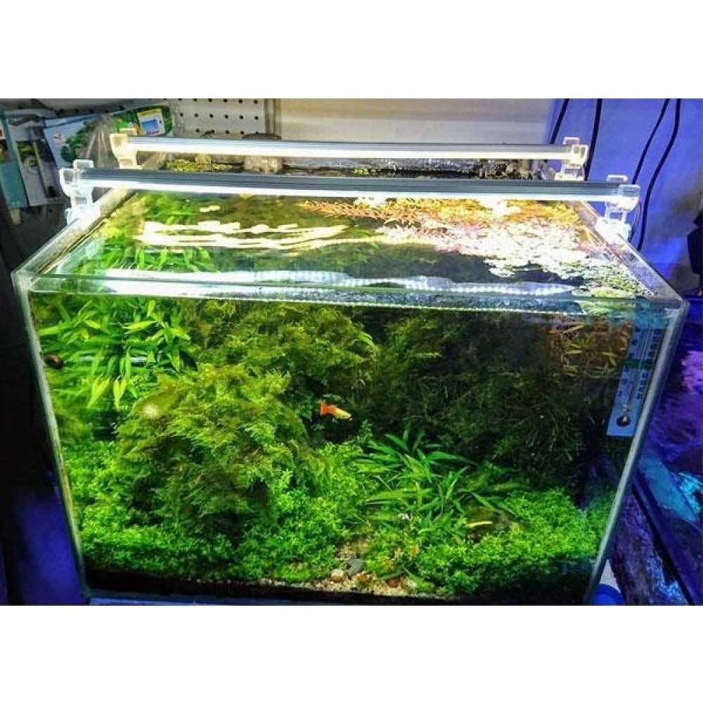 Aqua Led Led Aydınlatma Armatür Beyaz 60Cm 6500K Evcil Hayvan Ürünleri Fiyatı