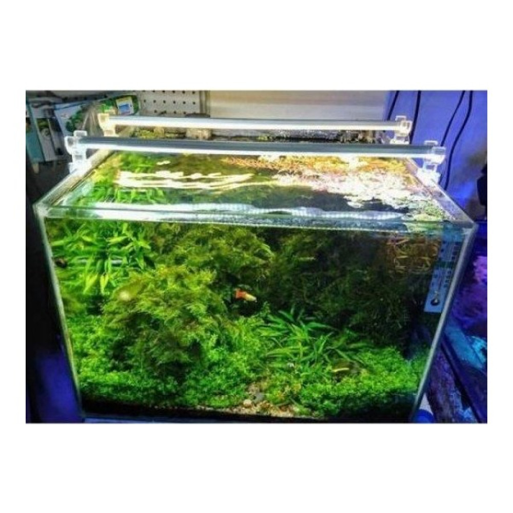 Aqualed Led Aydınlatma Armatür Daylight 60Cm 3000K Evcil Hayvan Ürünleri Fiyatı