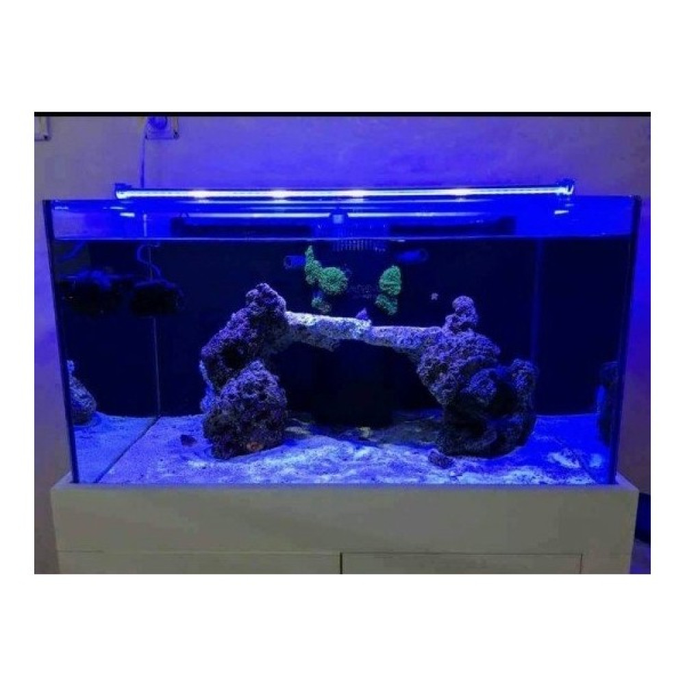 Aqualed Led Aydınlatma Armatür Royal Mavi 30Cm Evcil Hayvan Ürünleri Fiyatı