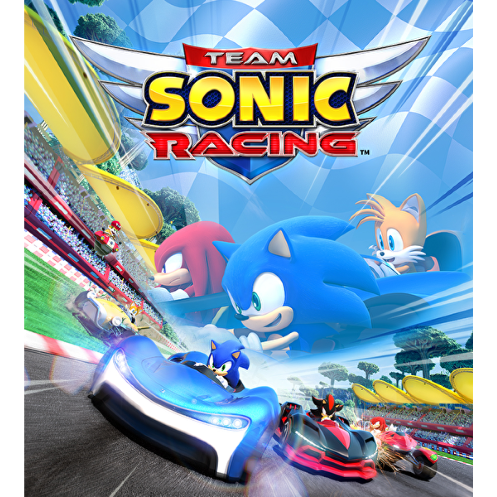 Aral Team Sonic Racing PS4 Oyun Bilgisayar Oyunları Fiyatı