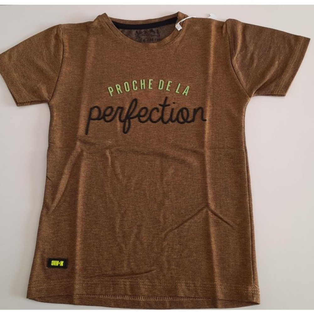 Arca Kids Perfection Baskılı S Yaka Tişört Erkek Çocuk T-shirt Fiyatı