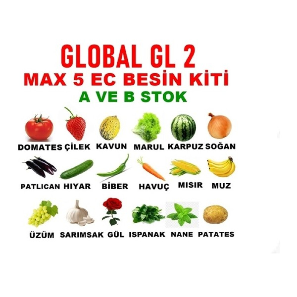 Arcan Topraksız Tarım Global Gl 2 Max 5 Ec Toz Besin Kiti A ve B Stok Oto Boyaları Fiyatı