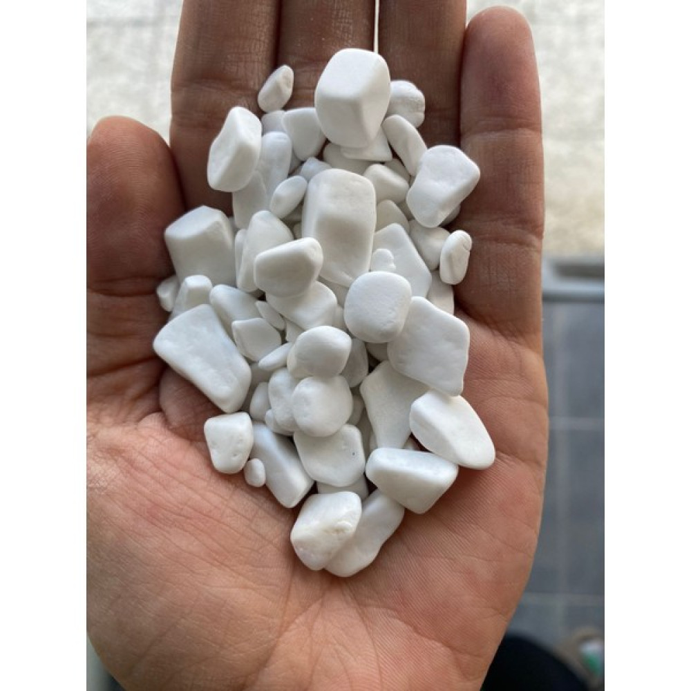 Ard Peyzaj 1 kg Beyaz Dolomit Taş 0.5-1 cm Akvaryum Taşı Çakıl Taşı Bahçe Saksı Taşı Sukulent No 1 Bahçe Dekorasyon & Düzenleme Fiyatı