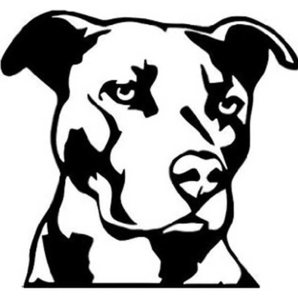 Areksan Sert Bakışlı Köpek Sticker Duvar Stickerı Fiyatı