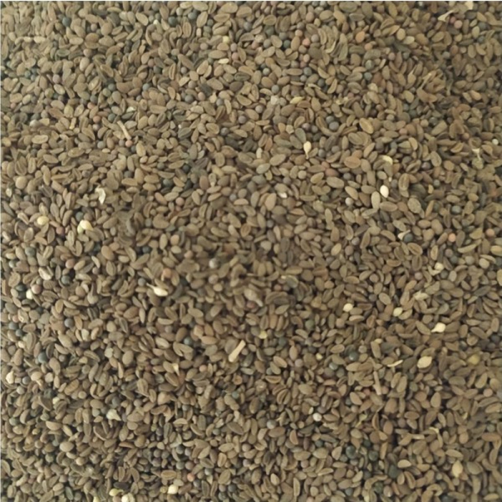 Arı Otu Faselya Tohumu 250GR Hüdaverdiarıcılıık - 250 gr Tohum Fiyatı