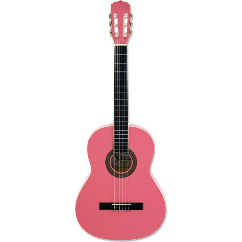 Aria Fiesta FST200PK Klasik Gitar Oto Boyaları Fiyatı