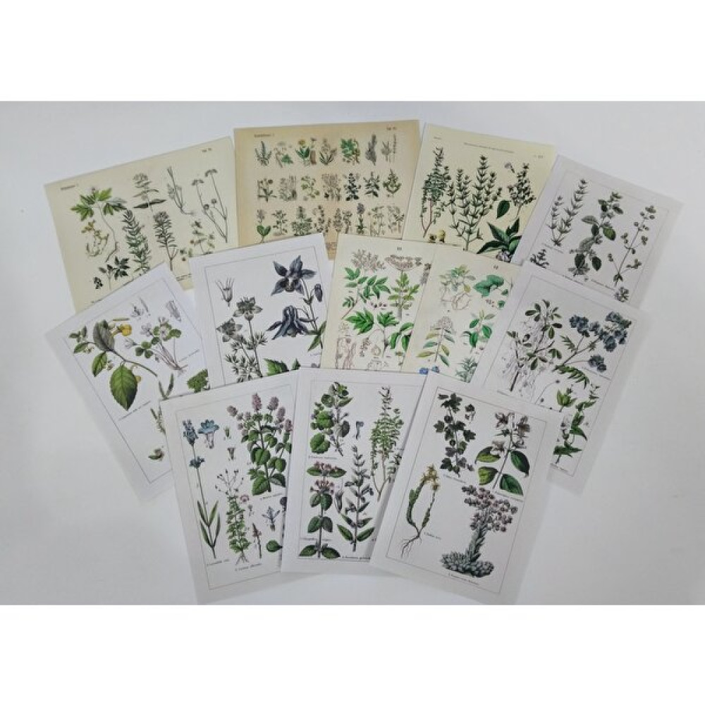 Aril Craft Vintage Botanik Çiçek Temalı Scrapbook Kağıdı Seti / Bullet Journal, Scrapbooking, Ajanda - Günlük - Renkli Not Defteri & Bloknot Fiyatı