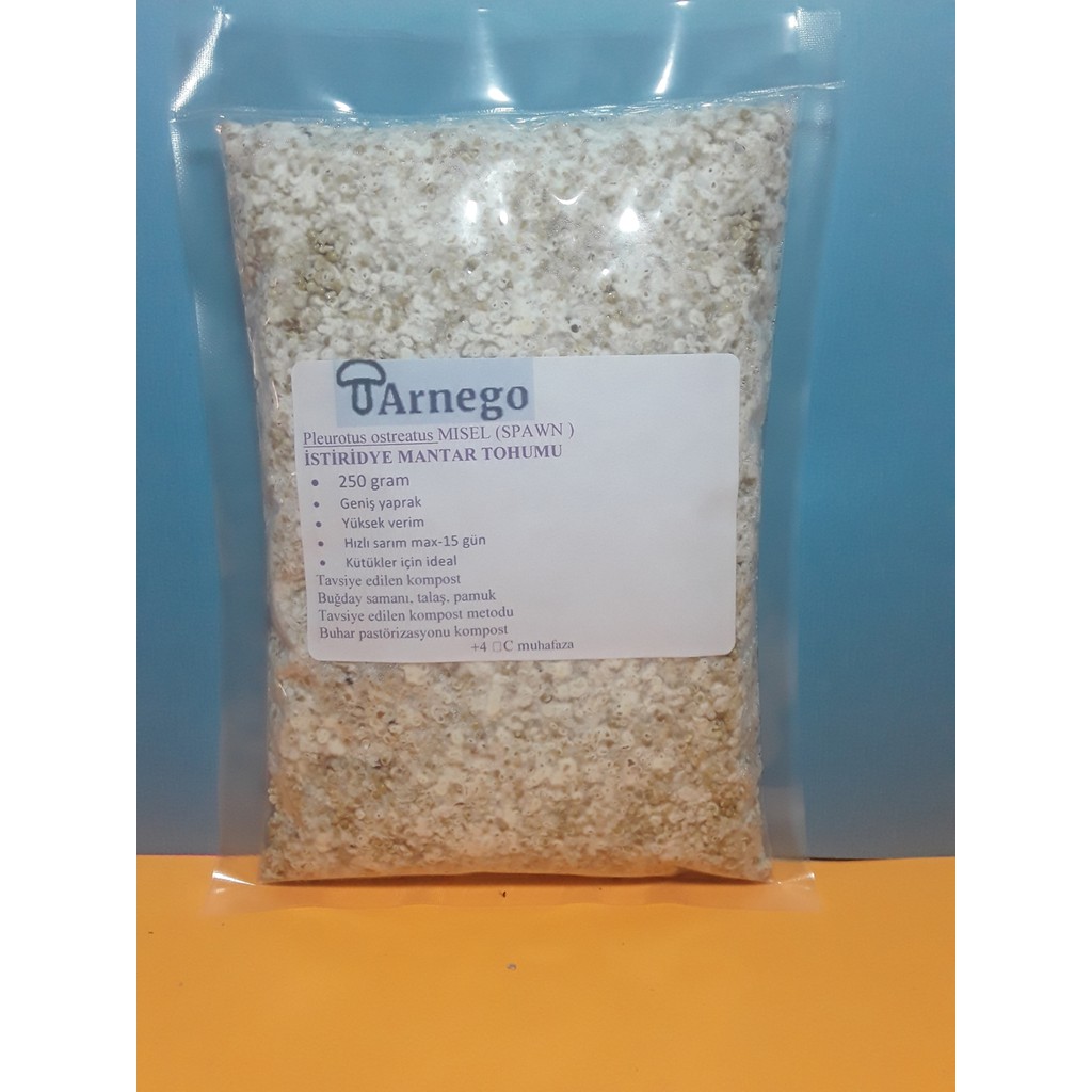 Arnego 250 Gram İstiridye Mantar Tohumu Tohum Fiyatı