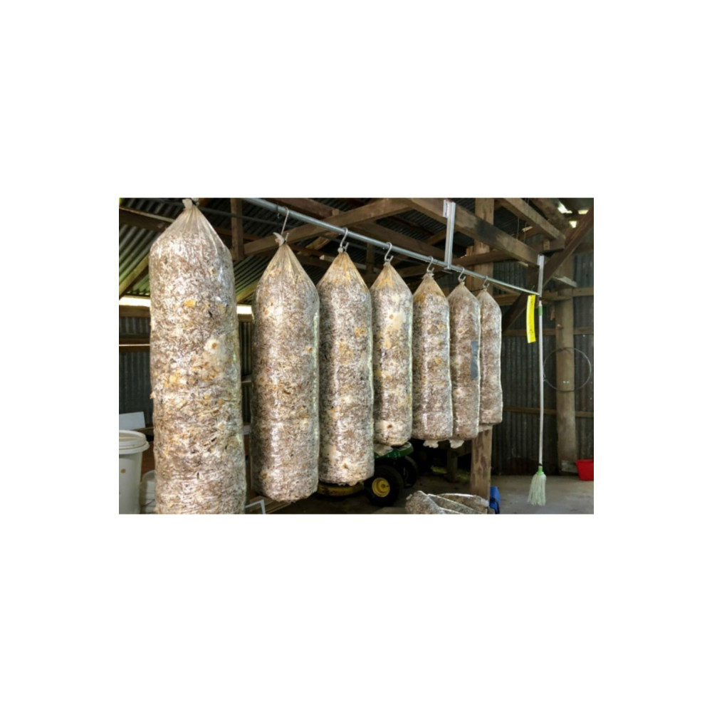 Arnego 8 Lt 4 Kg Istiridye Mantarı Miseli Tohum Kompostu Mantar Vermeye Hazır Durumda Tohum Fiyatı