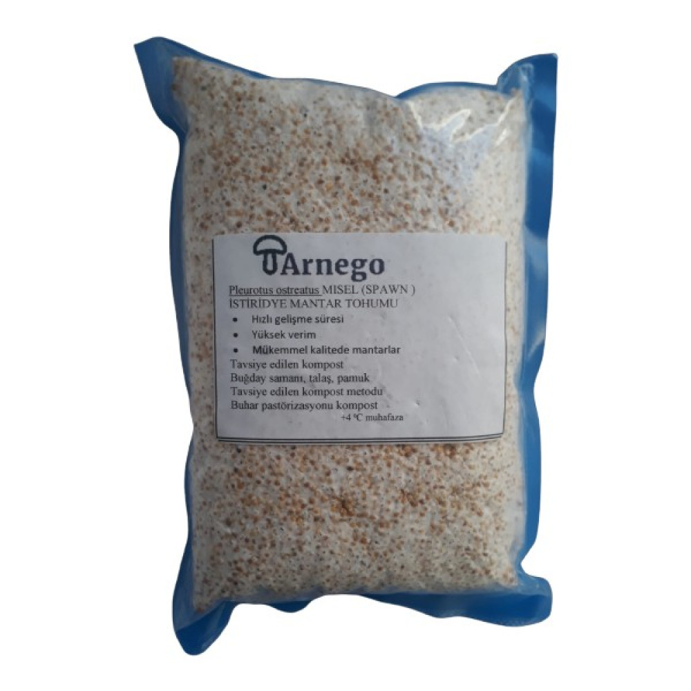 Arnego Istiridye Mantar Tohumu V2 (500 Gram) - 500 gr Tohum Fiyatı