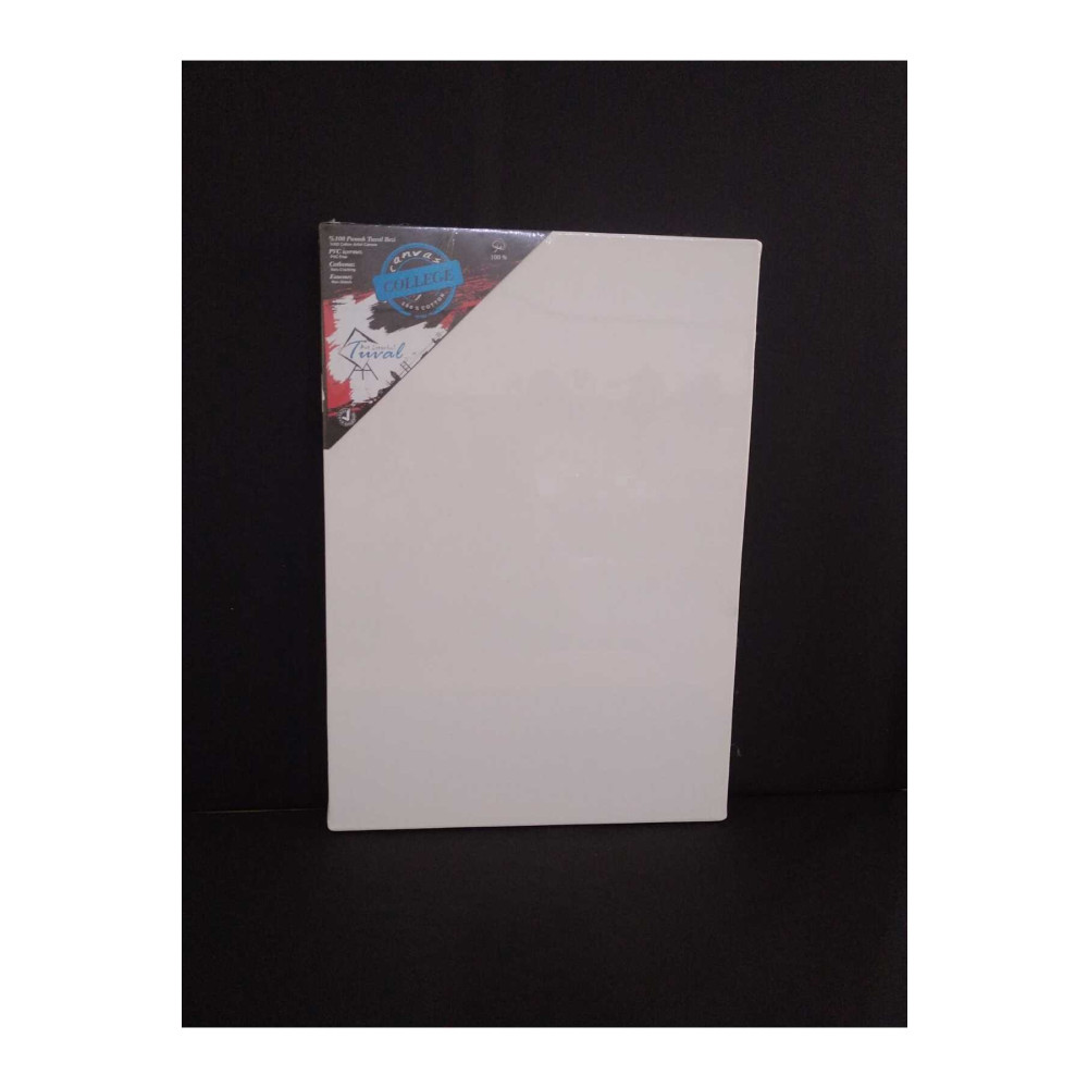ART İSTANBUL TUVAL 35x50 Tuval Arkadan Zımbalı Academy College Kalite Tuval Fiyatı