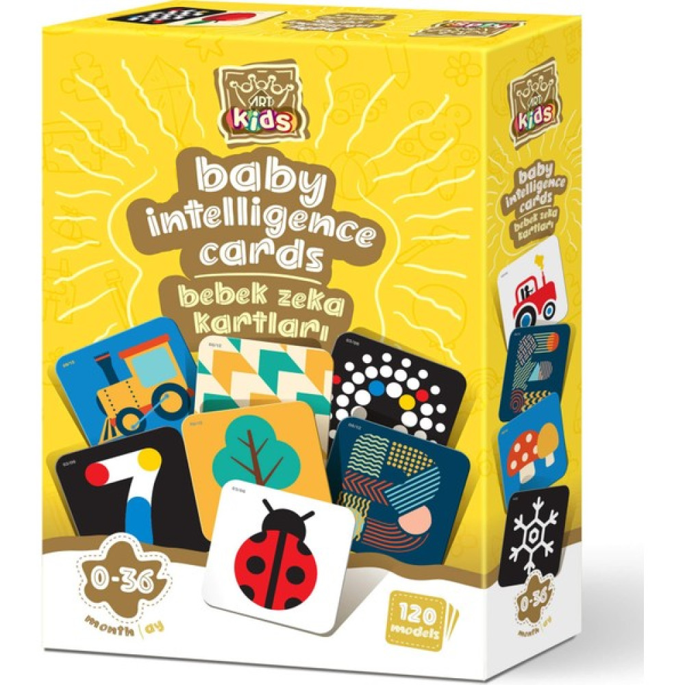 Art Kids Baby Zeka Kartları Oto Boyaları Fiyatı