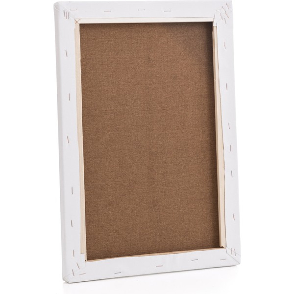 Artzone Profesyonel Tuval 25X35CM Tuval Fiyatı