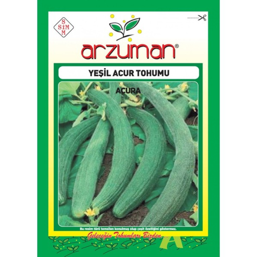 Arzuman Acur Tohumu (10 Gr) Yeşil-Uzun Tip - 10 gr Tohum Fiyatı
