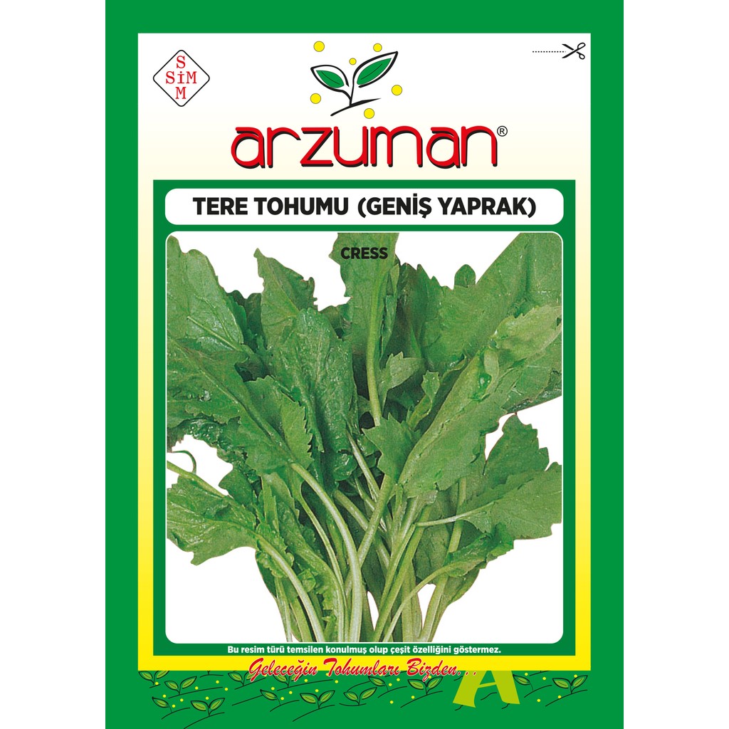 Arzuman Helen Tere Tohumu 25 Gram - 25 gr SSD / Solid State Drive Fiyatı