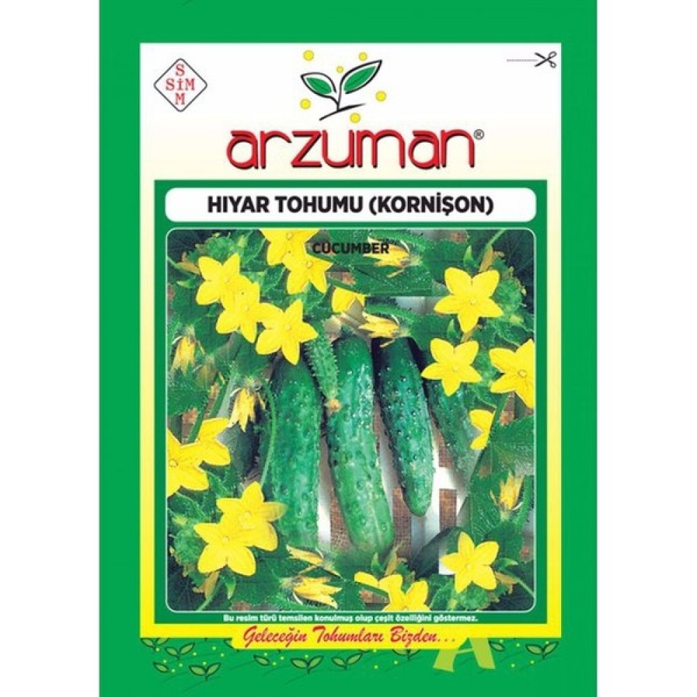 Arzuman Hıyar Tohumu (Kornişon) - 10 gr Tohum Fiyatı
