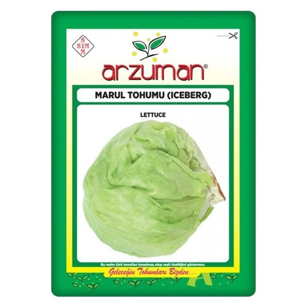 Arzuman Iceberg Marul Tohumu 5 gr Göbekli Marul Tohum Fiyatı