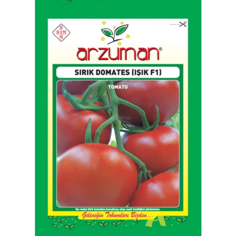 Arzuman Işık Sırık F1 Domates Tohum ( Paket İçi : 10 Adet ) Tohum Fiyatı