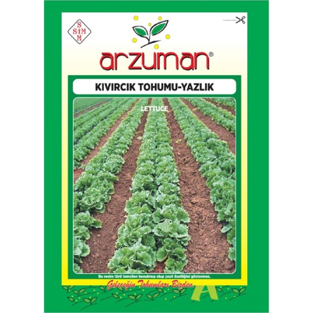 Arzuman Yazlık Marul - Kıvırcık Tohumu (10 Gr) - 10 gr Tohum Fiyatı