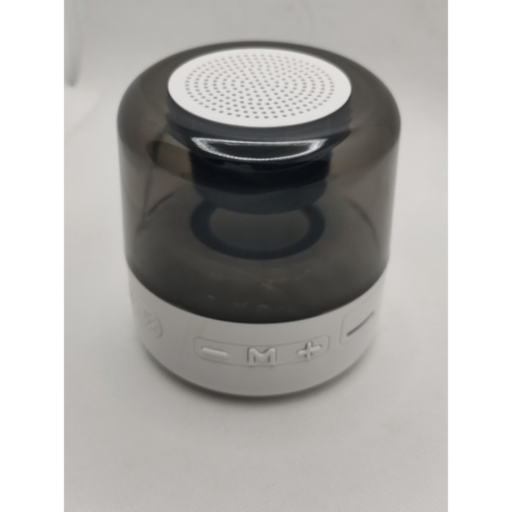 Ascellus D14 Tws Mini Taşınabilir Kablosuz Bluetooth Hoparlör Oto Boyaları Fiyatı