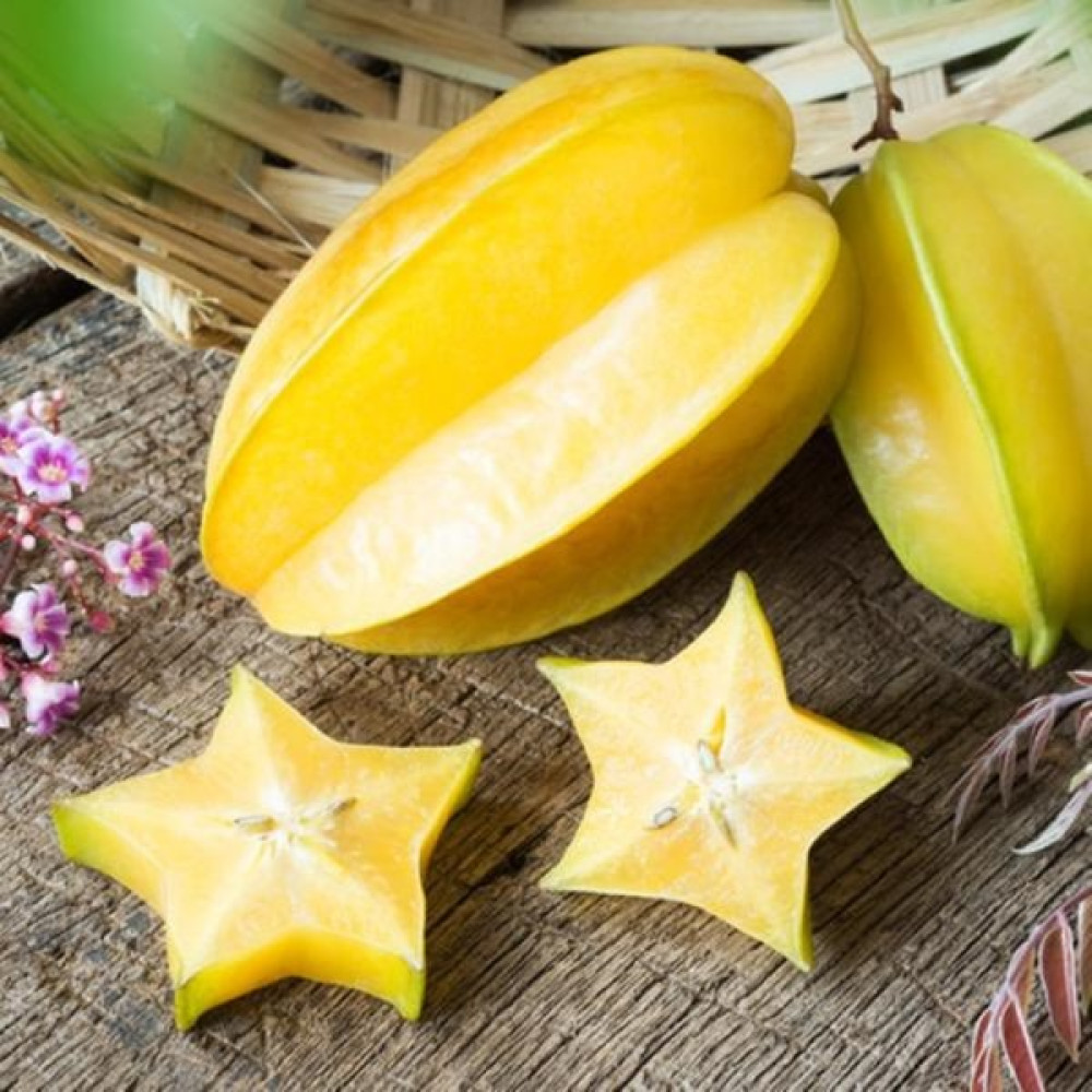 Ases Aşılı Tüplü Yıldız Meyvesi Fidanı Carambola, 60-80 Cm, Oto Boyaları Fiyatı