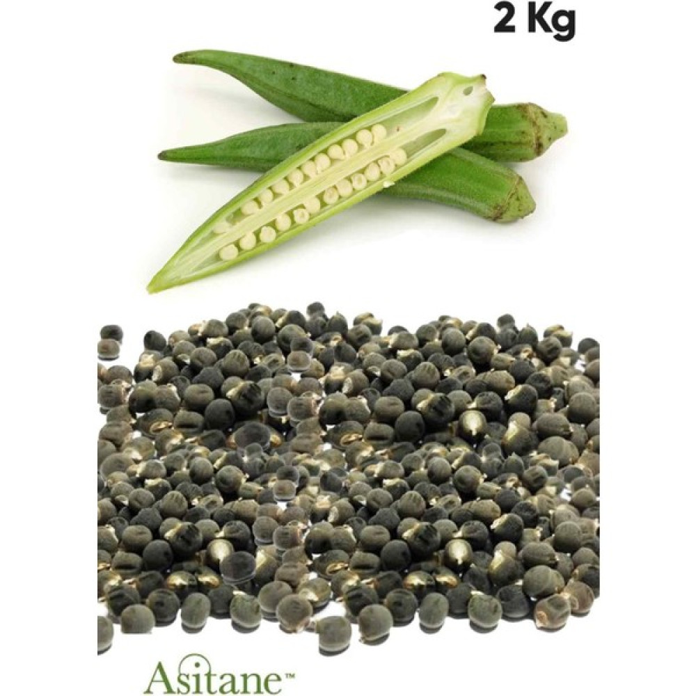 Asitane Bamya Tohumu 1.sınıf Ilaçsız Yenilebilir 2 kg Tohum Fiyatı