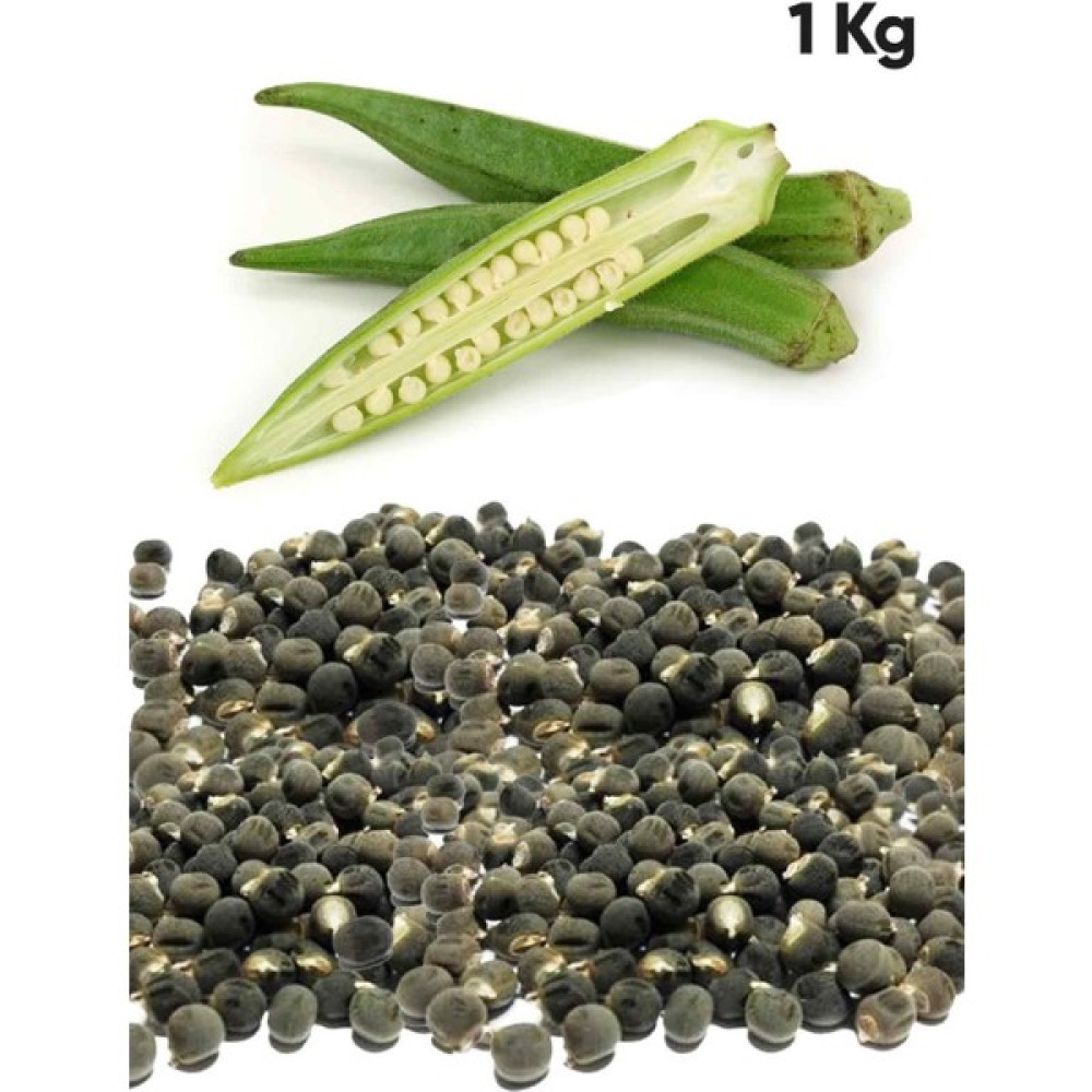 Asitane Bamyatohumu 1.sınıf Ilaçsızyenilebilir 1 kg Tohum Fiyatı