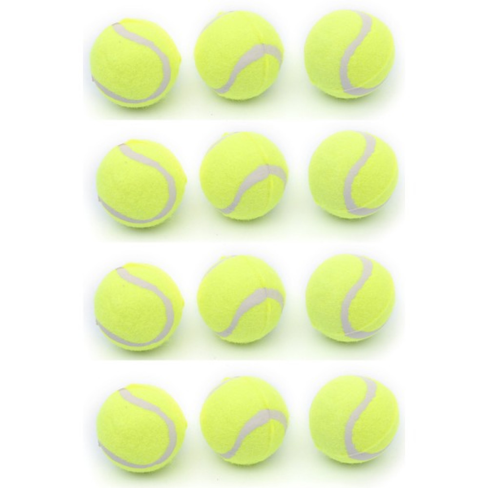 Asl Sport Tenis Topu 12'li Silikon Toplar Fiyatı