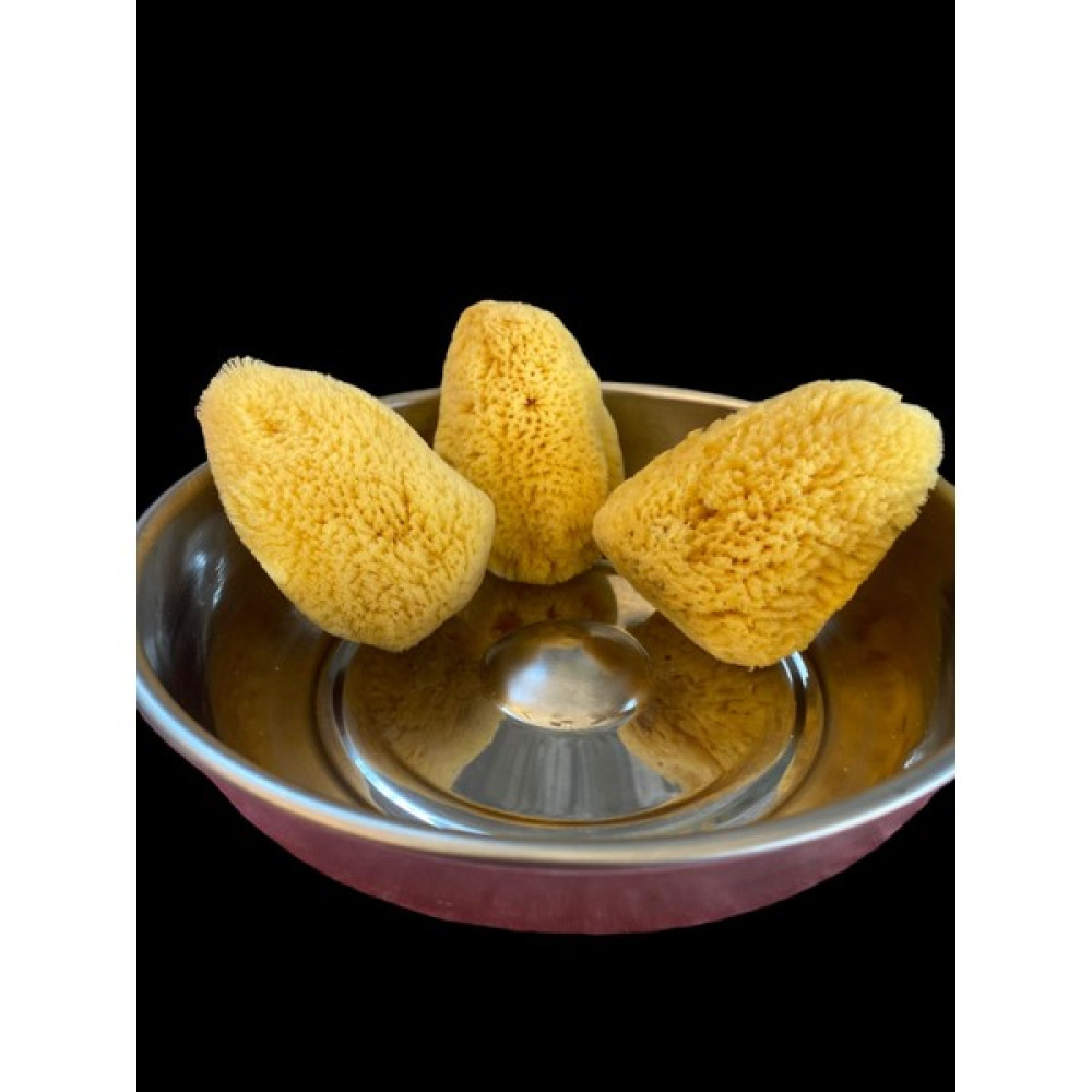 Aslancan Natural Shop Deniz Süngeri 3 Lü (Küçük Boy) - Sarı Oto Boyaları Fiyatı