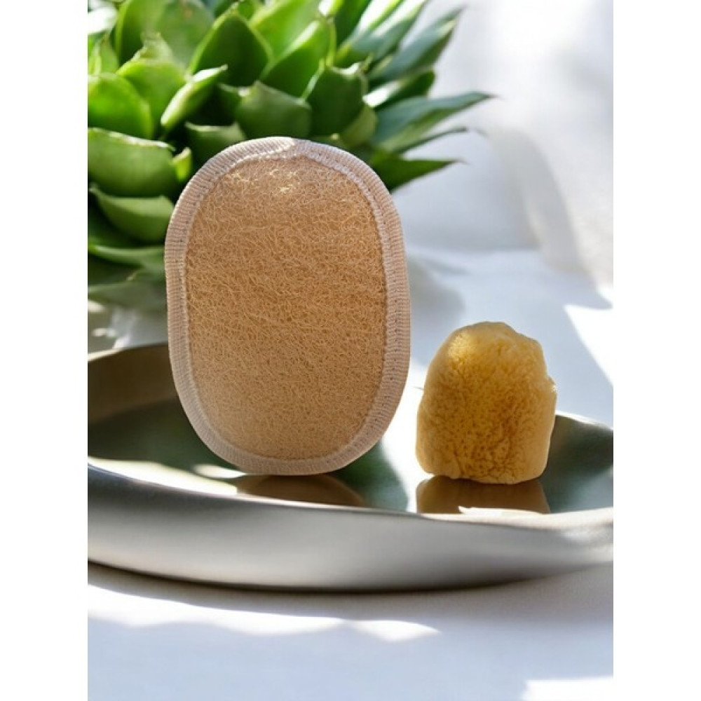 Aslancan Natural Shop Deniz Süngeri (Küçük) Ve Kabak Lifi Kese Oval Set Oto Boyaları Fiyatı
