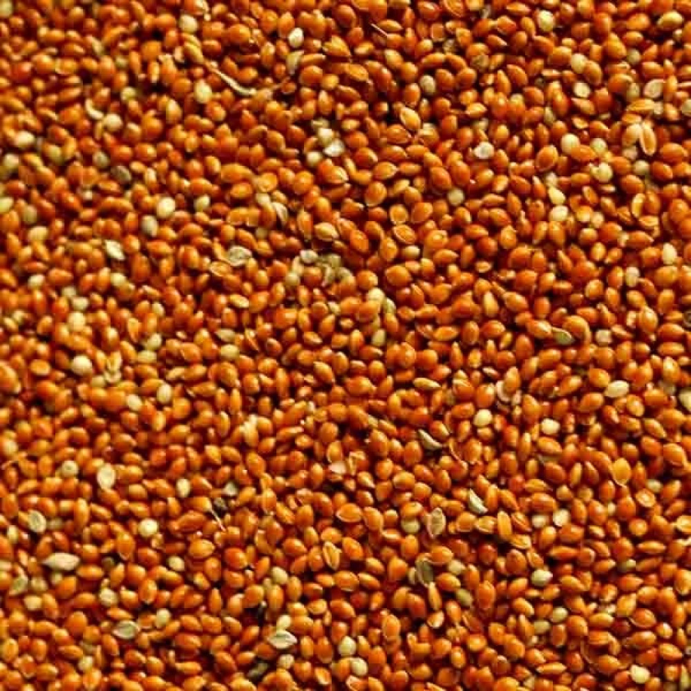 Aslımlar Kırmızı Darı 1 kg Kuş Yemi Evcil Hayvan Ürünleri Fiyatı