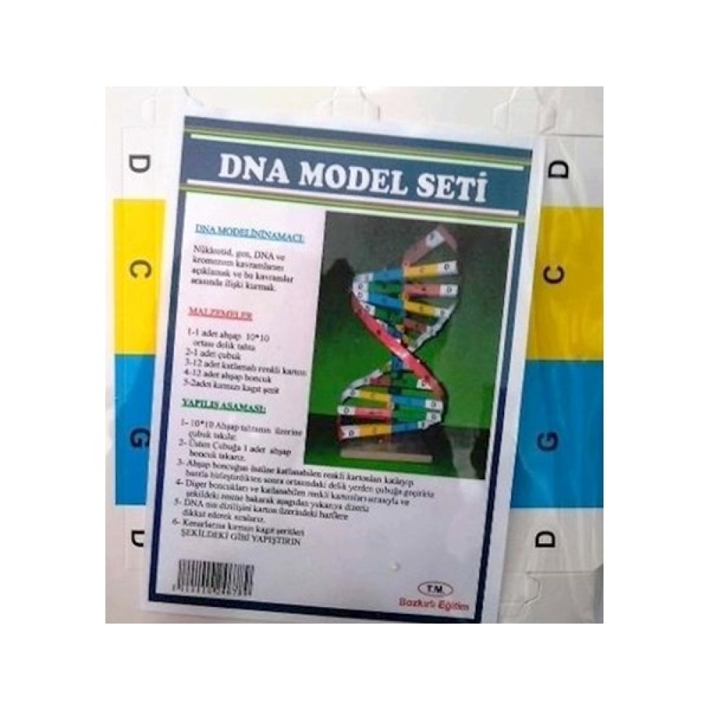 Asyaon Dna Model Yapım Deney Seti Eğitici Oyuncak Fiyatı