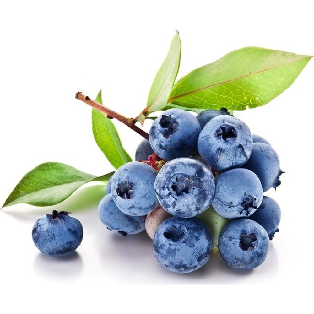 Ata Tohumculuk 10 Adet Tohum Yaban Mersini Tohumu Blueberry Tohumu Süpriz Hediye Tohumu Tohum Fiyatı