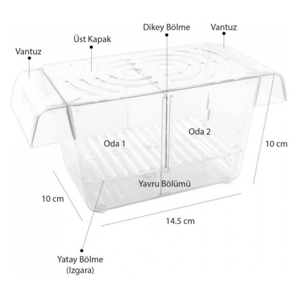 Atlantik Ikili Kristal Balık Yavruluk 14,5 cm x 10 cm Evcil Hayvan Ürünleri Fiyatı