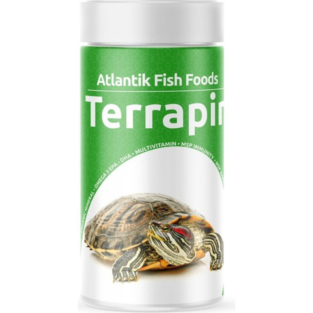 Atlantik Terrapın Kaplumbağa Yemi 100 ml Oto Boyaları Fiyatı