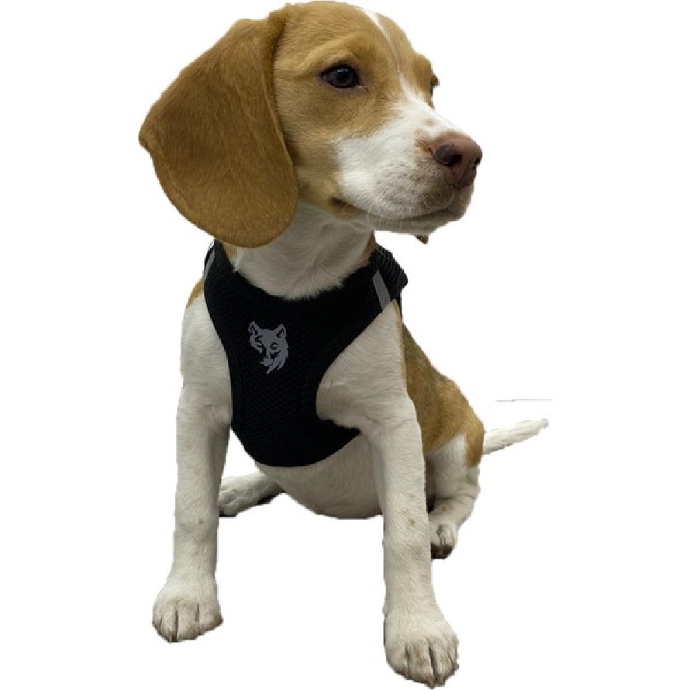 Att Stil Tekstil Köpek Göğüs Tasması - 2XS - Siyah Evcil Hayvan Ürünleri Fiyatı