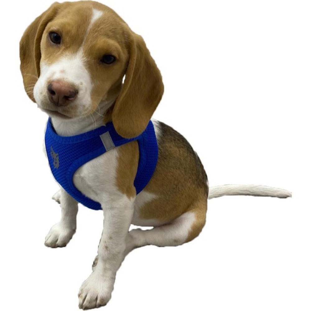 Att Stil Tekstil Köpek Göğüs Tasması - L - Mavi Evcil Hayvan Ürünleri Fiyatı