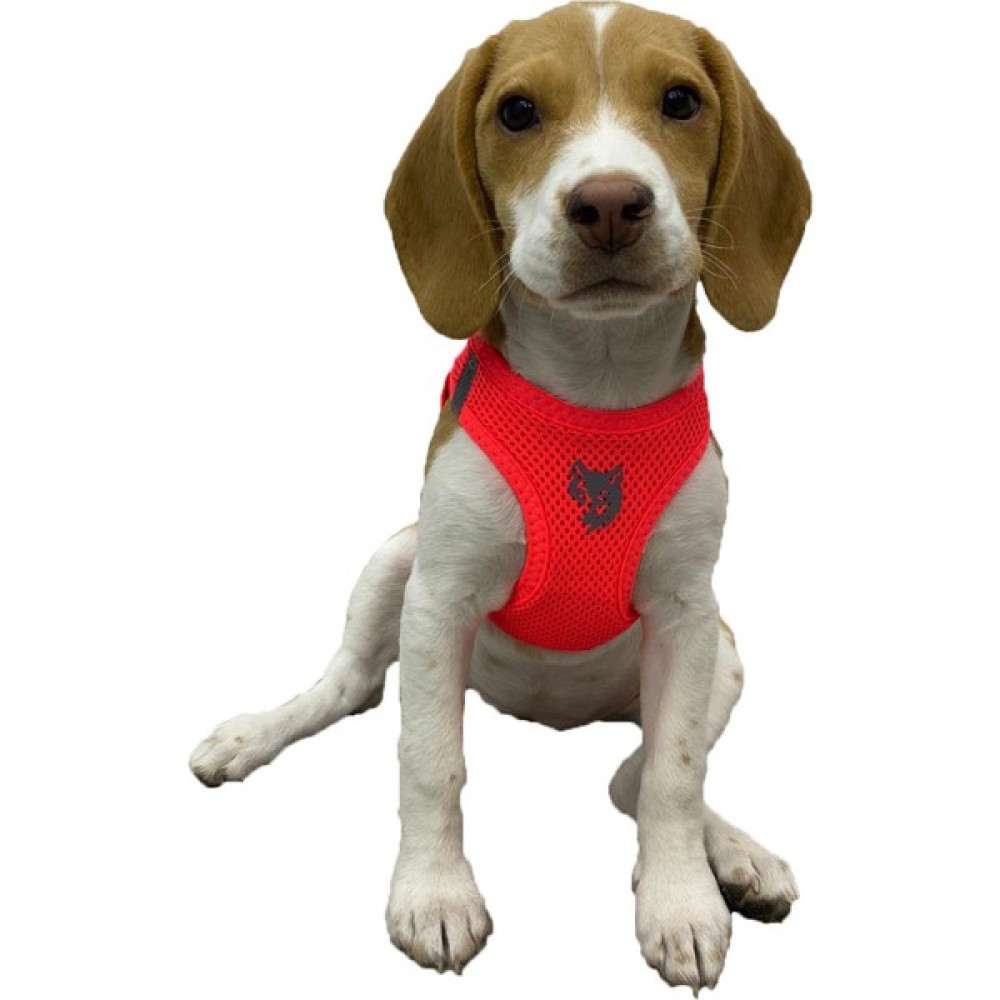 Att Stil Tekstil Köpek Göğüs Tasması Neon Turuncu - XL - Neon-Turuncu Evcil Hayvan Ürünleri Fiyatı