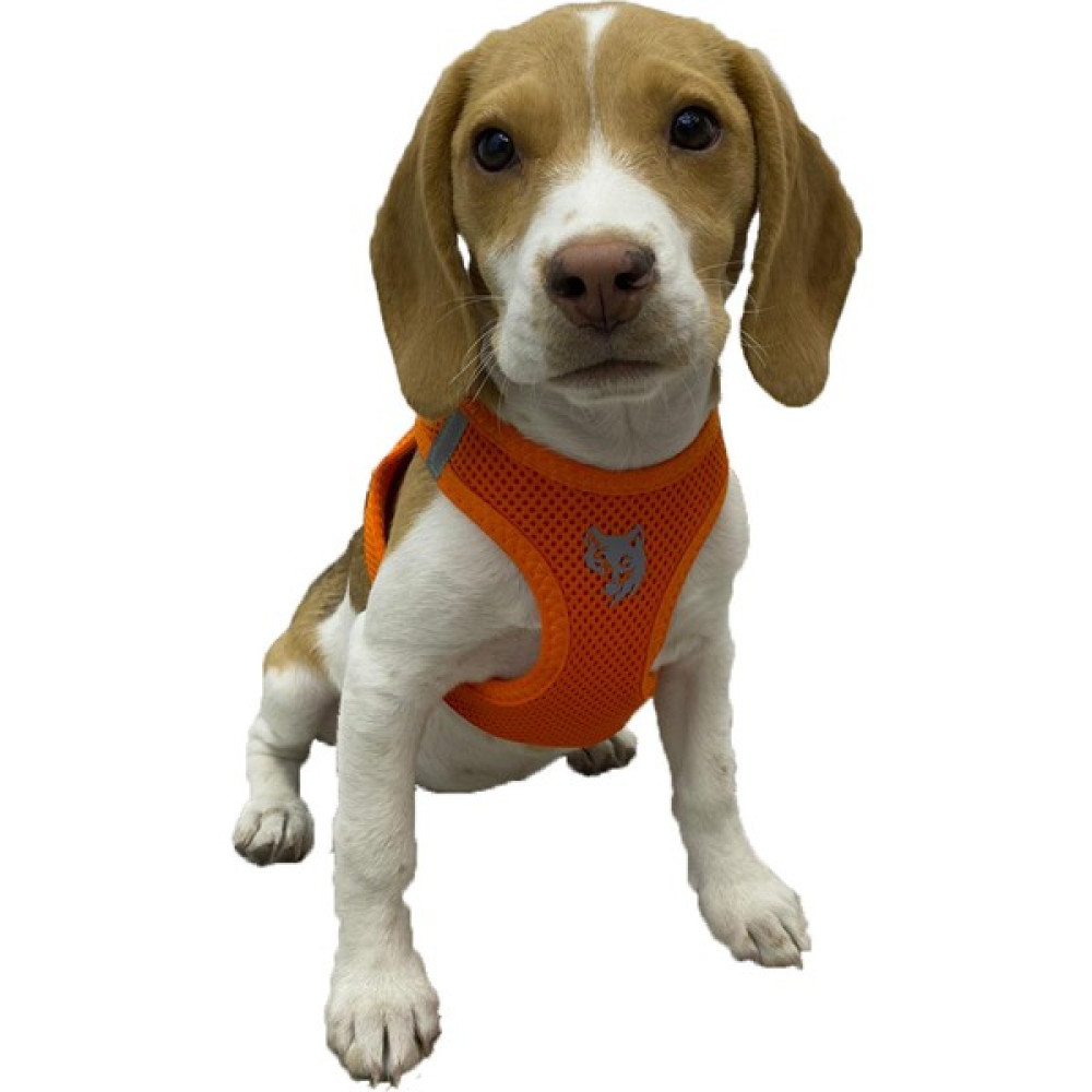 Att Stil Tekstil Köpek Göğüs Tasması - XS - Turuncu Evcil Hayvan Ürünleri Fiyatı