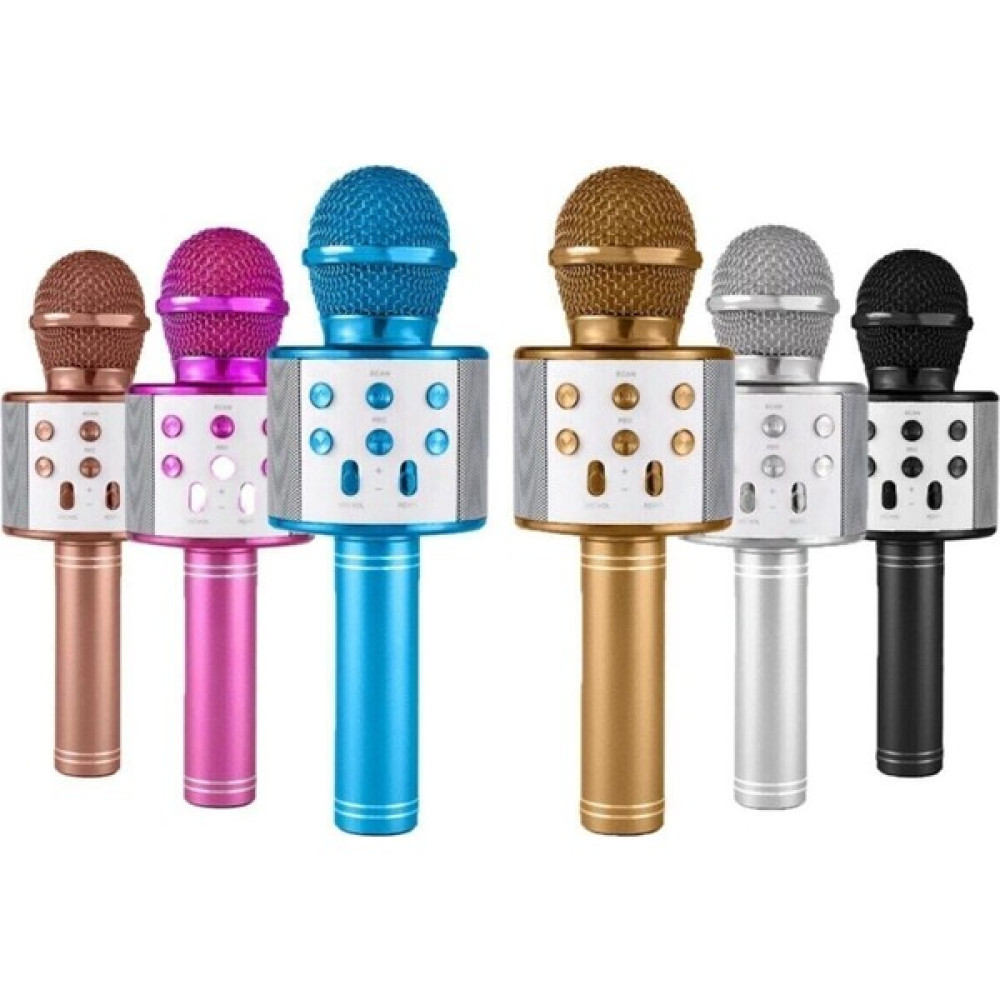 Auris Lera Accessories Karaoke Mikrofon - Renkli Eğitici Oyuncak Fiyatı