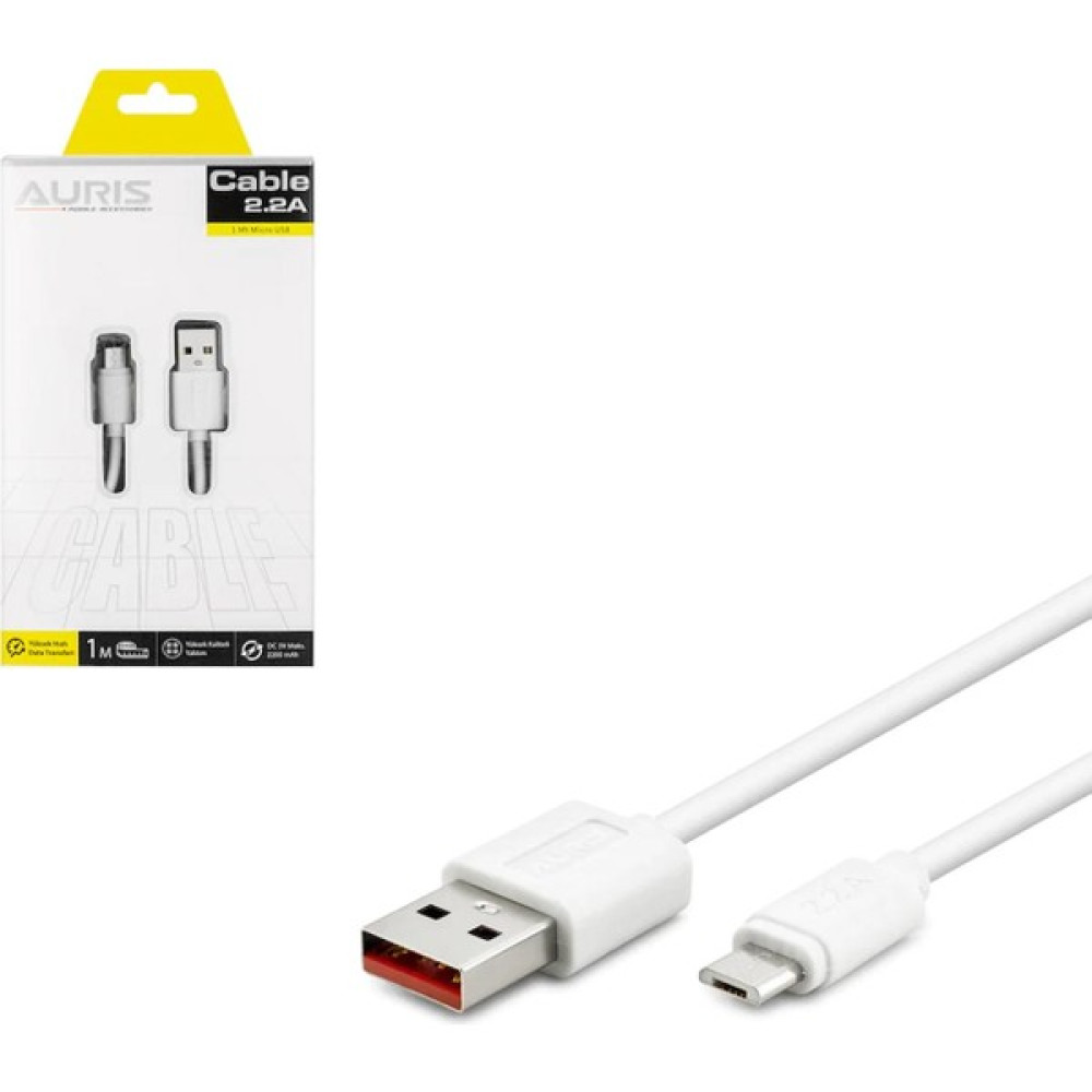 Aurıs-Zore Şarj Kablosu Data Fast Micro 2.2A 1mt Aurıs ARS-CB01 Cep Telefonu Kablosu Fiyatı