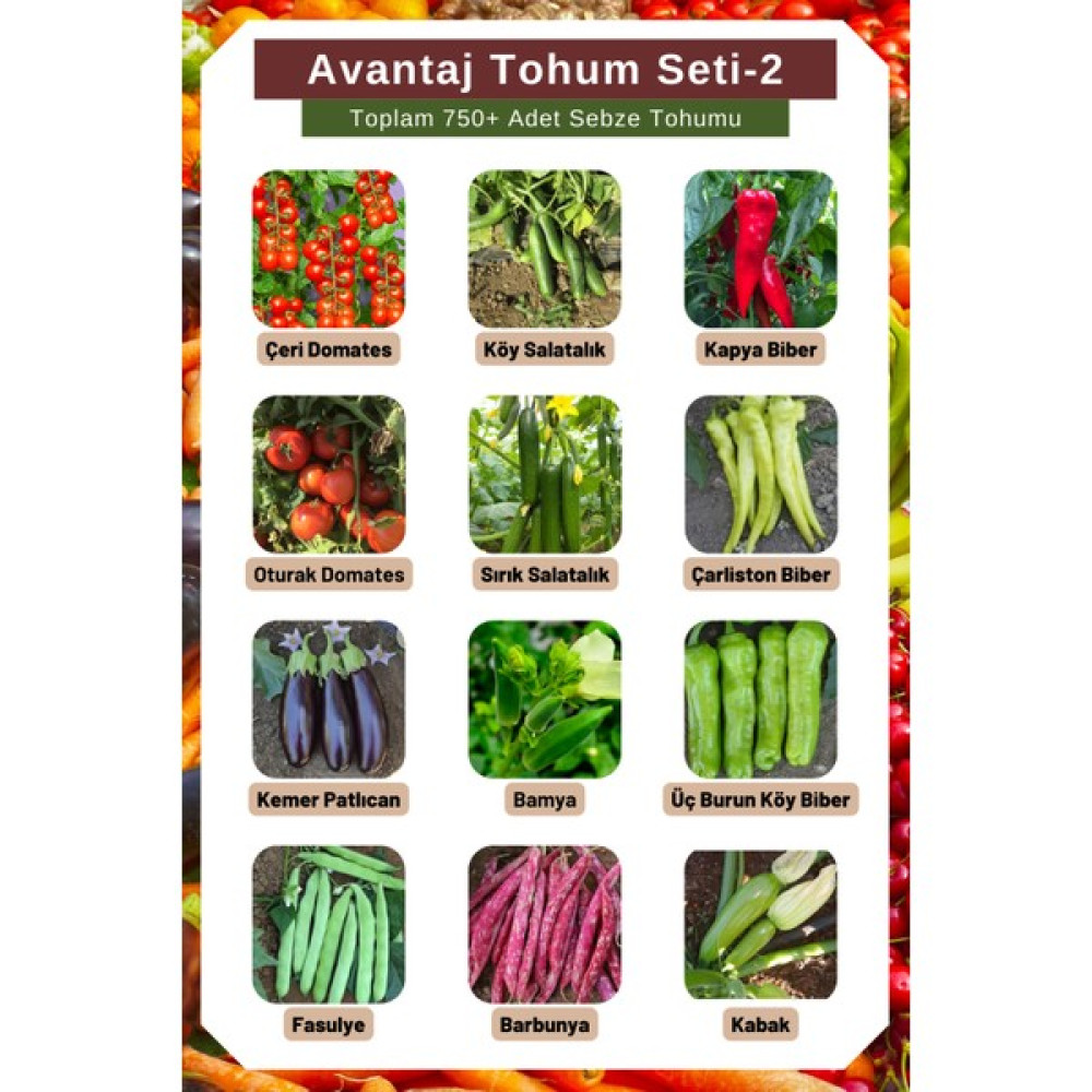 Avantaj Tohum Seti-2, Toplam 750+ Adet Sebze Tohumu, 12 Çeşit Sebze Tohumu - 1 Adet Tohum Fiyatı