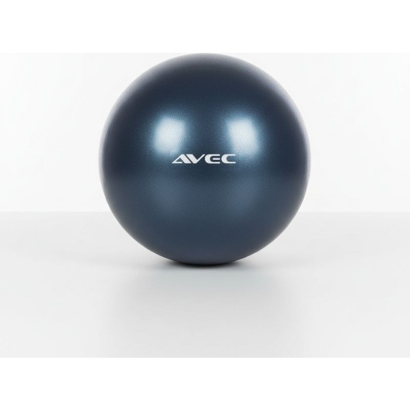 Avec Pilates Mini Ball 25CM SSD / Solid State Drive Fiyatı