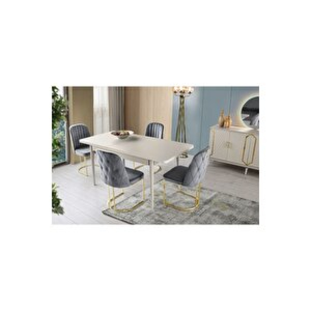 Avm 24 Fenike Sandalye Gold Metal Ayak - Gri Standart Sandalye Fiyatı