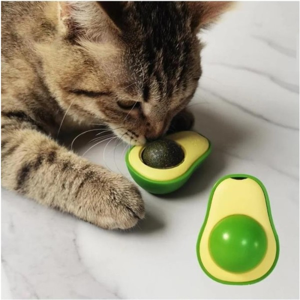Avokado Catnip Kedi Nanesi Oyuncağı Evcil Hayvan Ürünleri Fiyatı