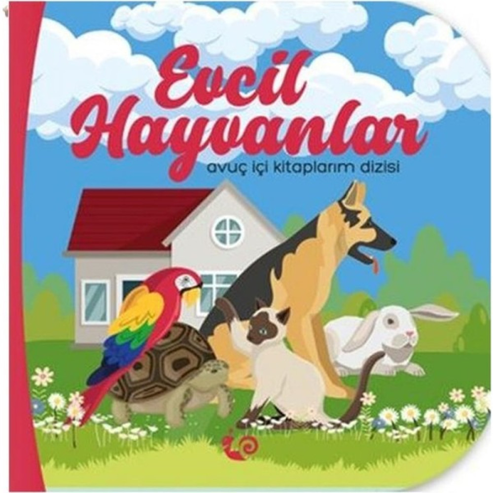 Avuç İçi Kitaplarım Evcil Hayvanlar Okul Öncesi Eğitici & Öğretici Kitaplar Fiyatı